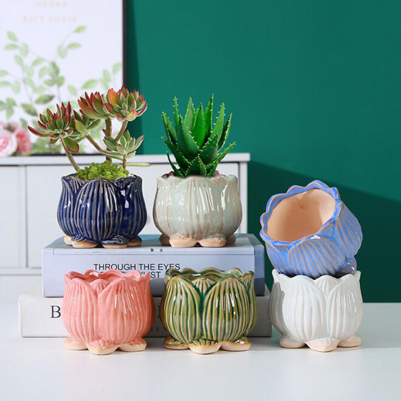 Bonsai Garden Design - 2027 Ceramic Lotus Design Succulent Plant