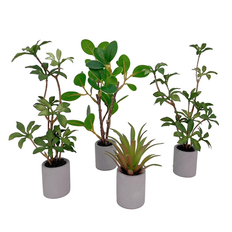 1:6 Dollhouse Miniature Potted - огляд і ціна Bonsai Garden Europe