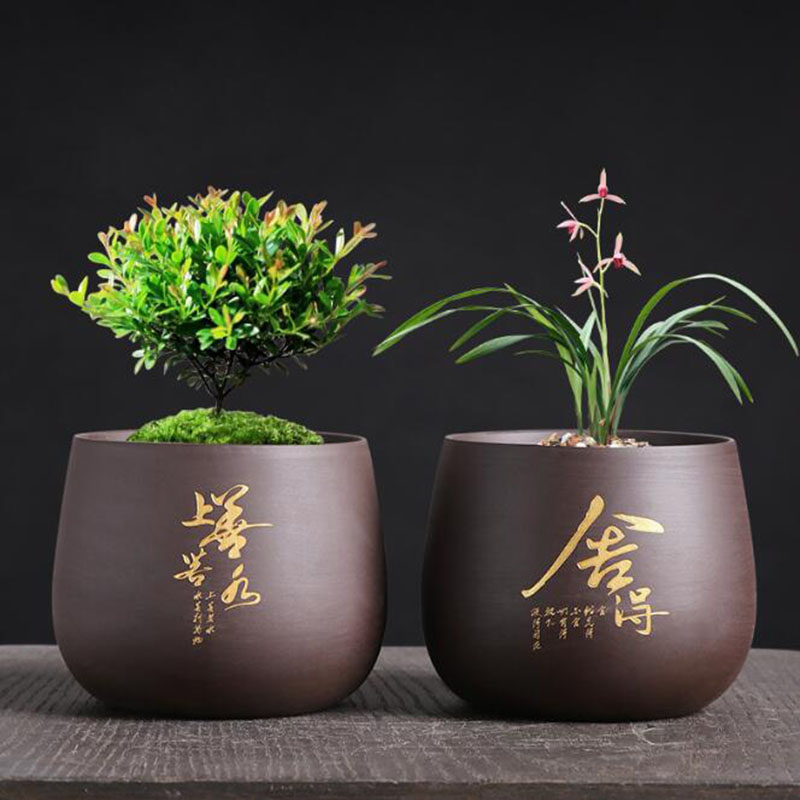 Chinese Style Purple Clay Flow - огляд і ціна Bonsai Garden Europe