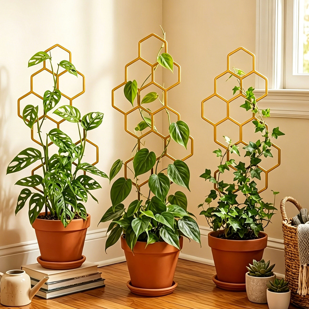 For Indoor Decoration Hexagona - огляд і ціна Bonsai Garden Design