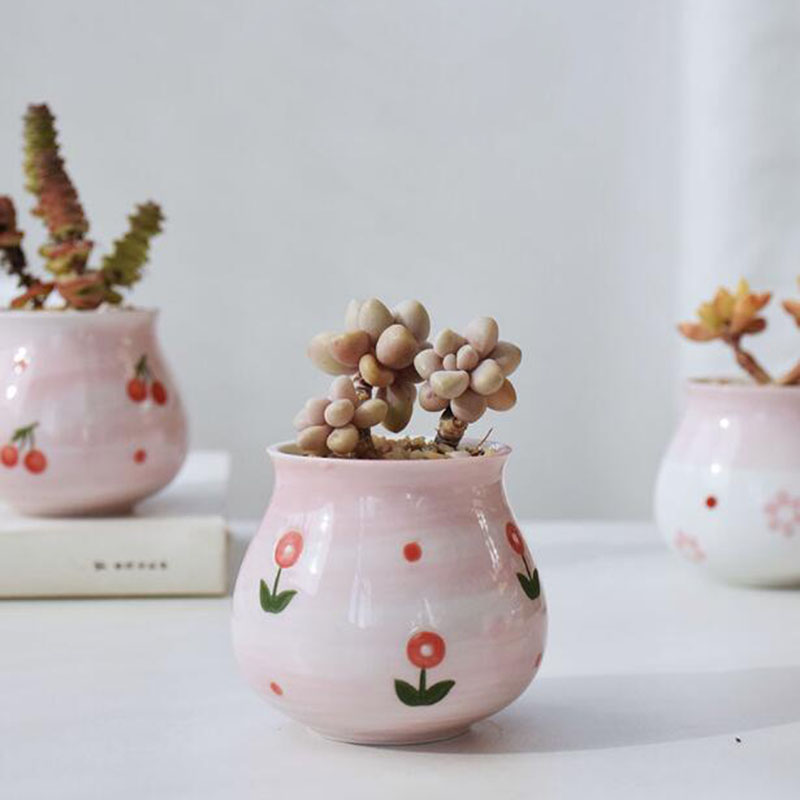 Cute Pink Girl Heart Series Fl - огляд і ціна Bonsai Garden Europe