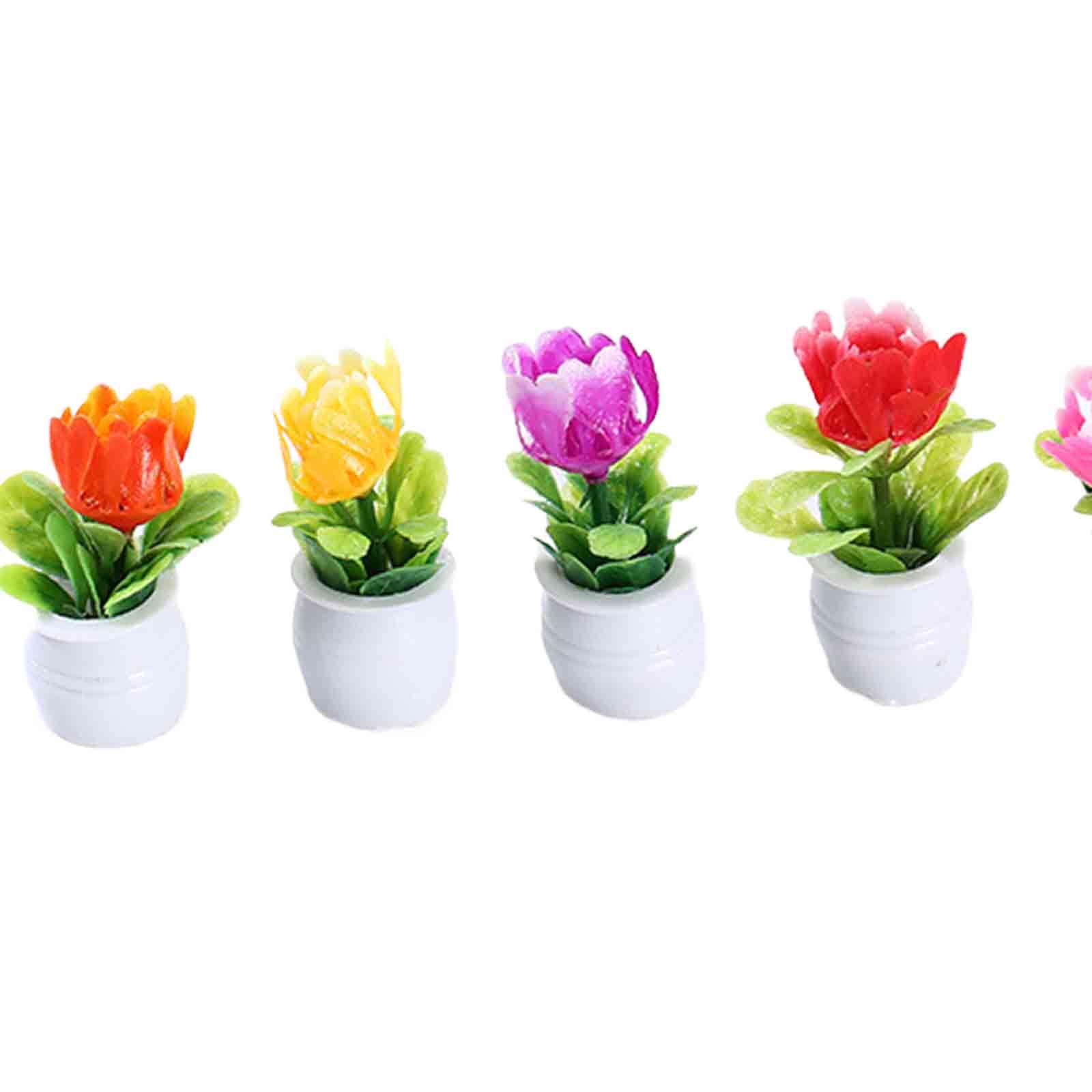 5Pcs 1:12 Dollhouse Miniature  - огляд і ціна Bonsai Garden Europe