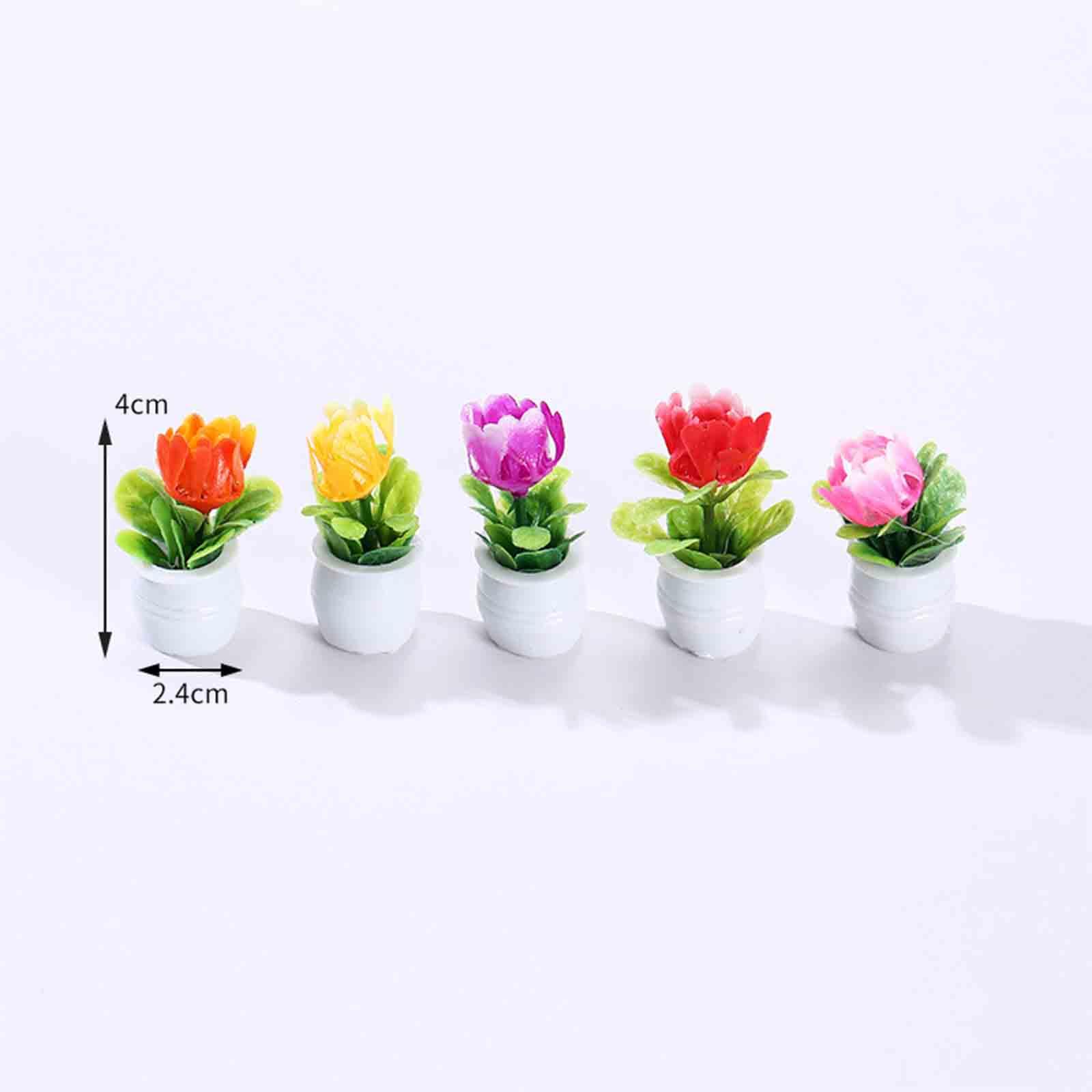 5Pcs 1:12 Dollhouse Miniature  - огляд і ціна Bonsai Garden Europe