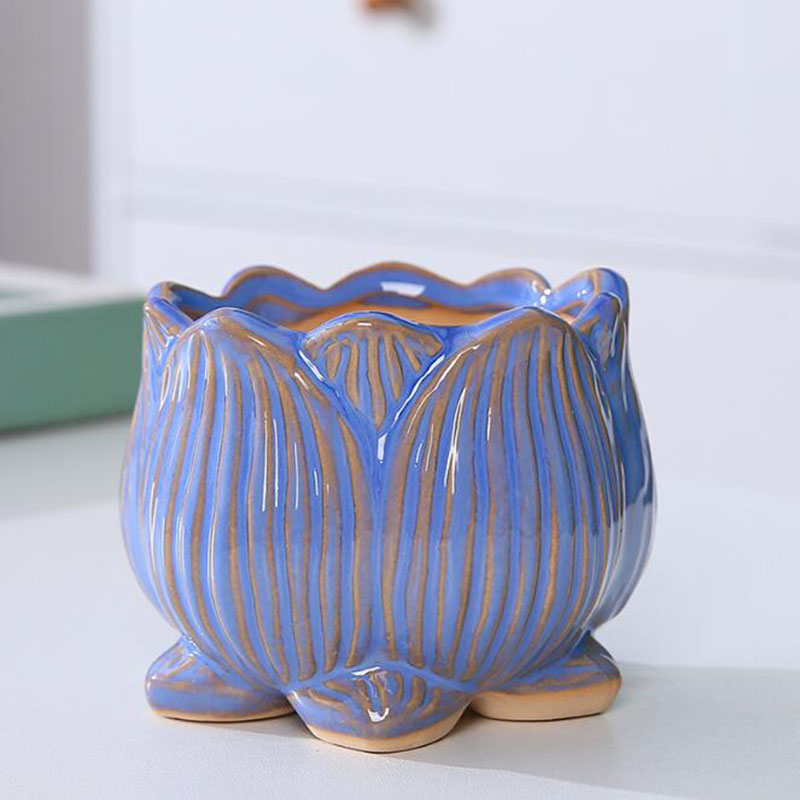 2027 Ceramic Lotus Design Succ - огляд і ціна Bonsai Garden Design