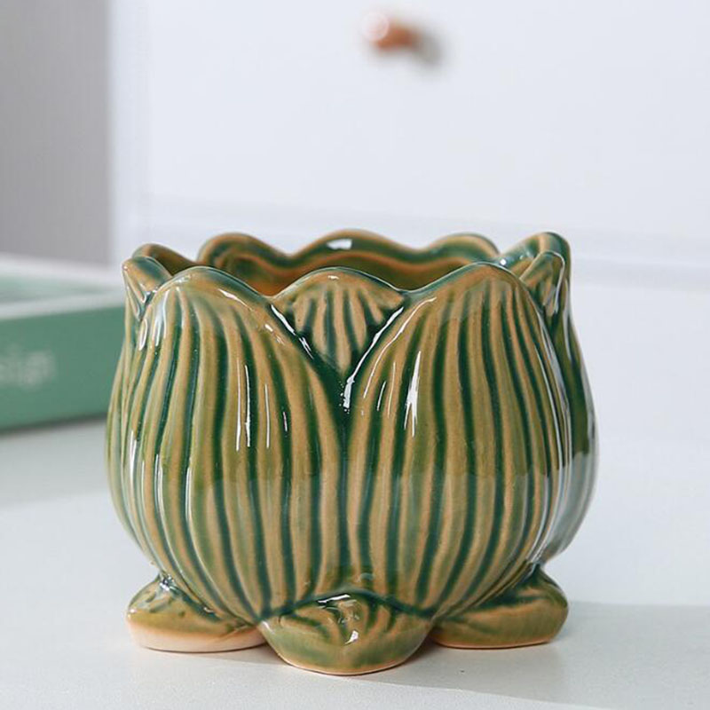 2027 Ceramic Lotus Design Succ - огляд і ціна Bonsai Garden Design