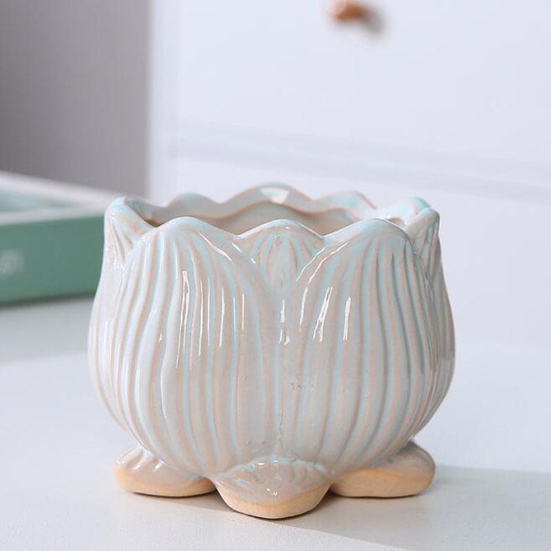 2027 Ceramic Lotus Design Succ - огляд і ціна Bonsai Garden Design